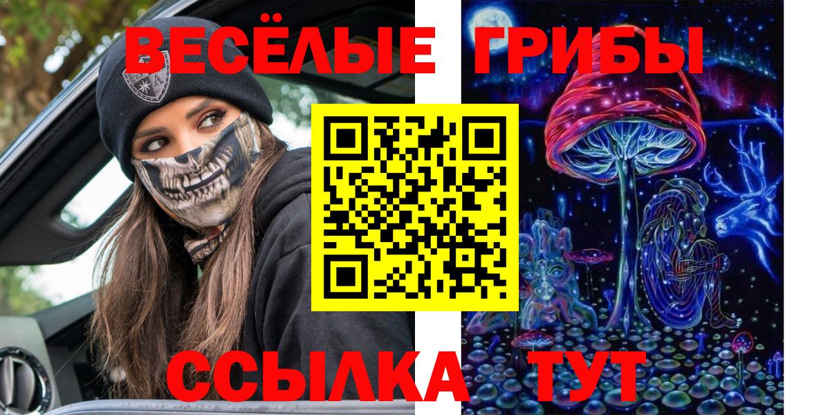 Галлюциногенные грибы прущие грибы Майкоп