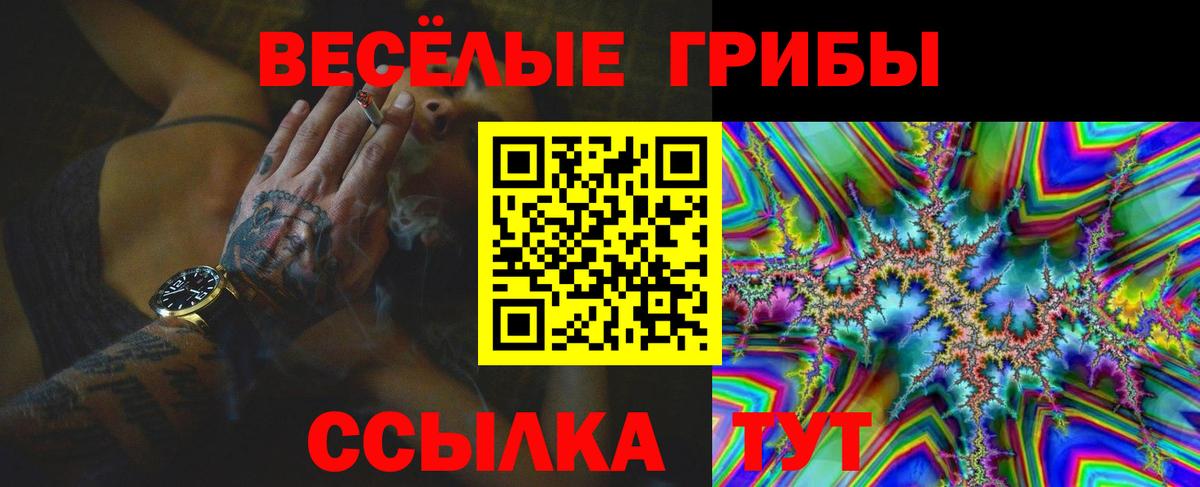 Псилоцибиновые грибы ЛСД  Вход с VPN  Псилоцибиновые грибы GOLDEN TEACHER  Майкоп 